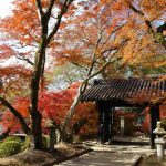 秋月城跡「黒門」の紅葉